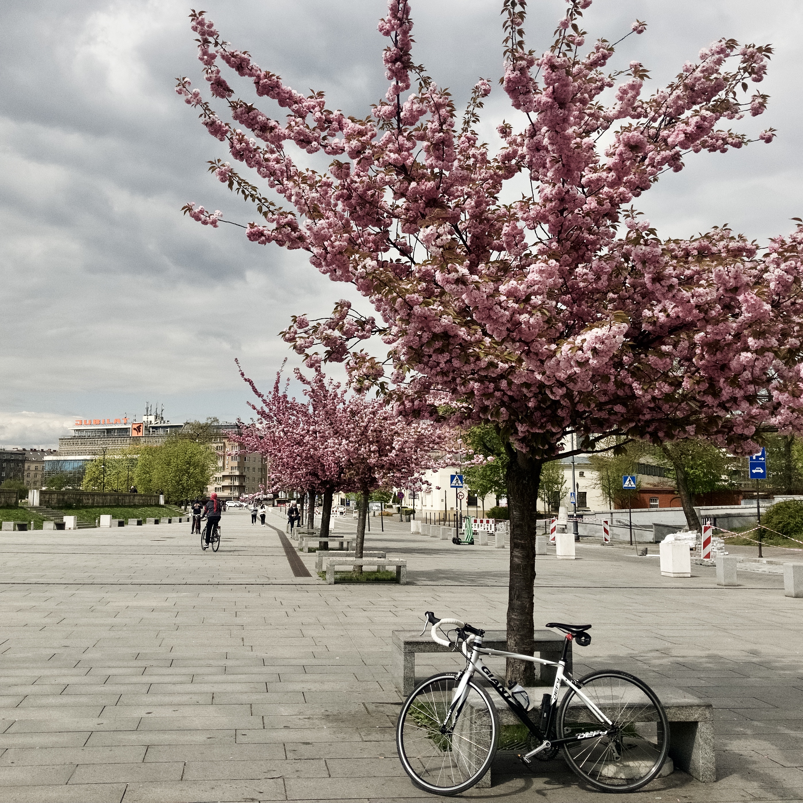 A bike